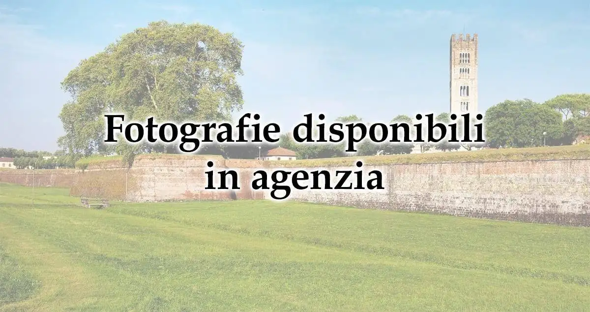 Villetta a schiera in vendita a Lucca