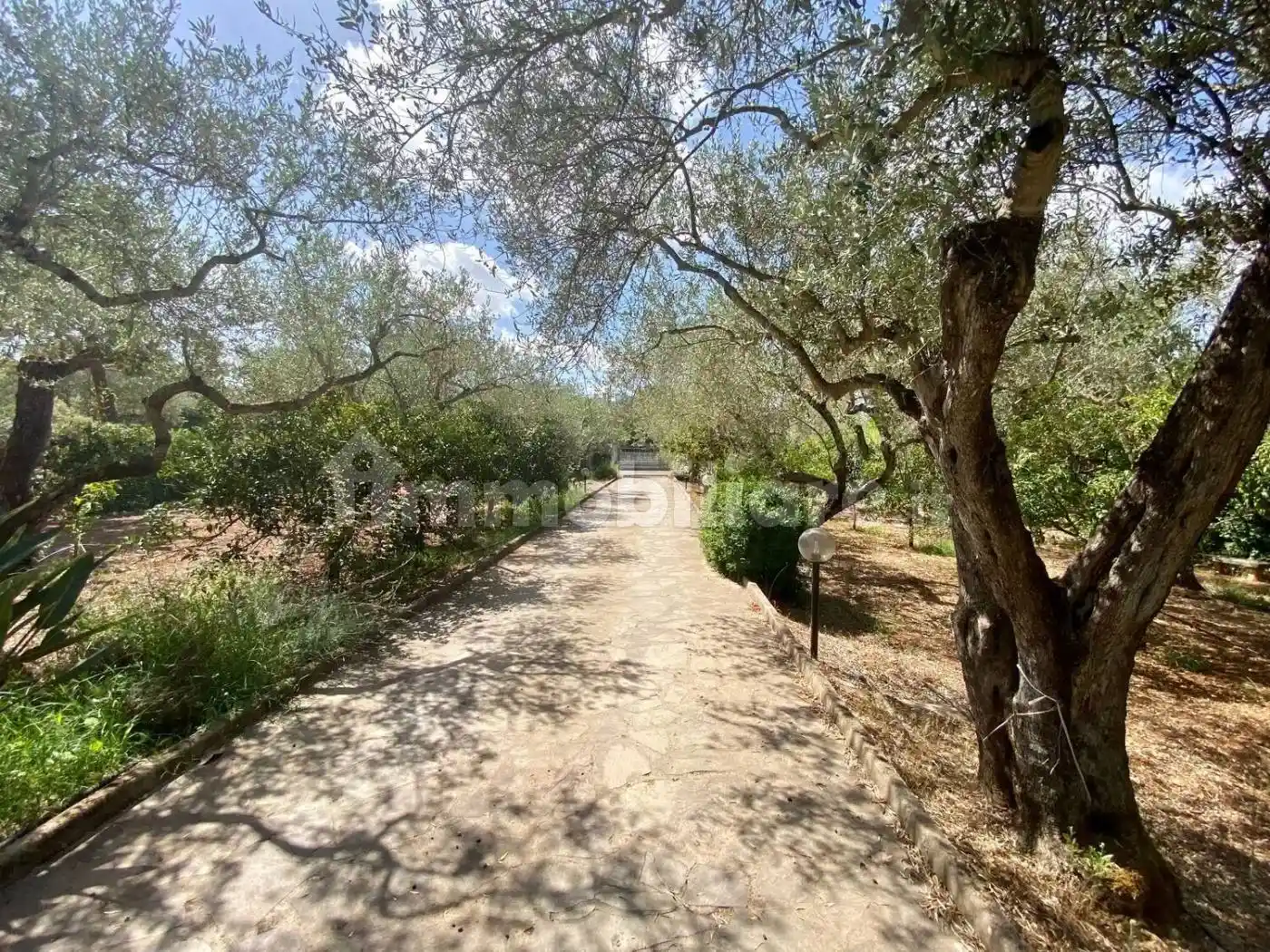 Villa unifamiliare Strada Vicinale Santa Maria Di Lu Gardu, 2 -/A, La Landrigga - Monte Oro, Sassari - foto 4