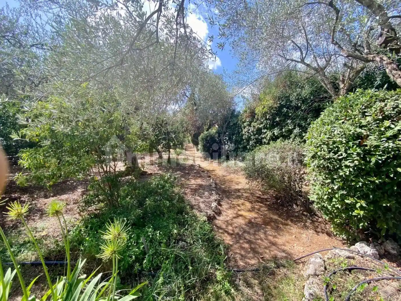 Villa unifamiliare Strada Vicinale Santa Maria Di Lu Gardu, 2 -/A, La Landrigga - Monte Oro, Sassari - foto 5