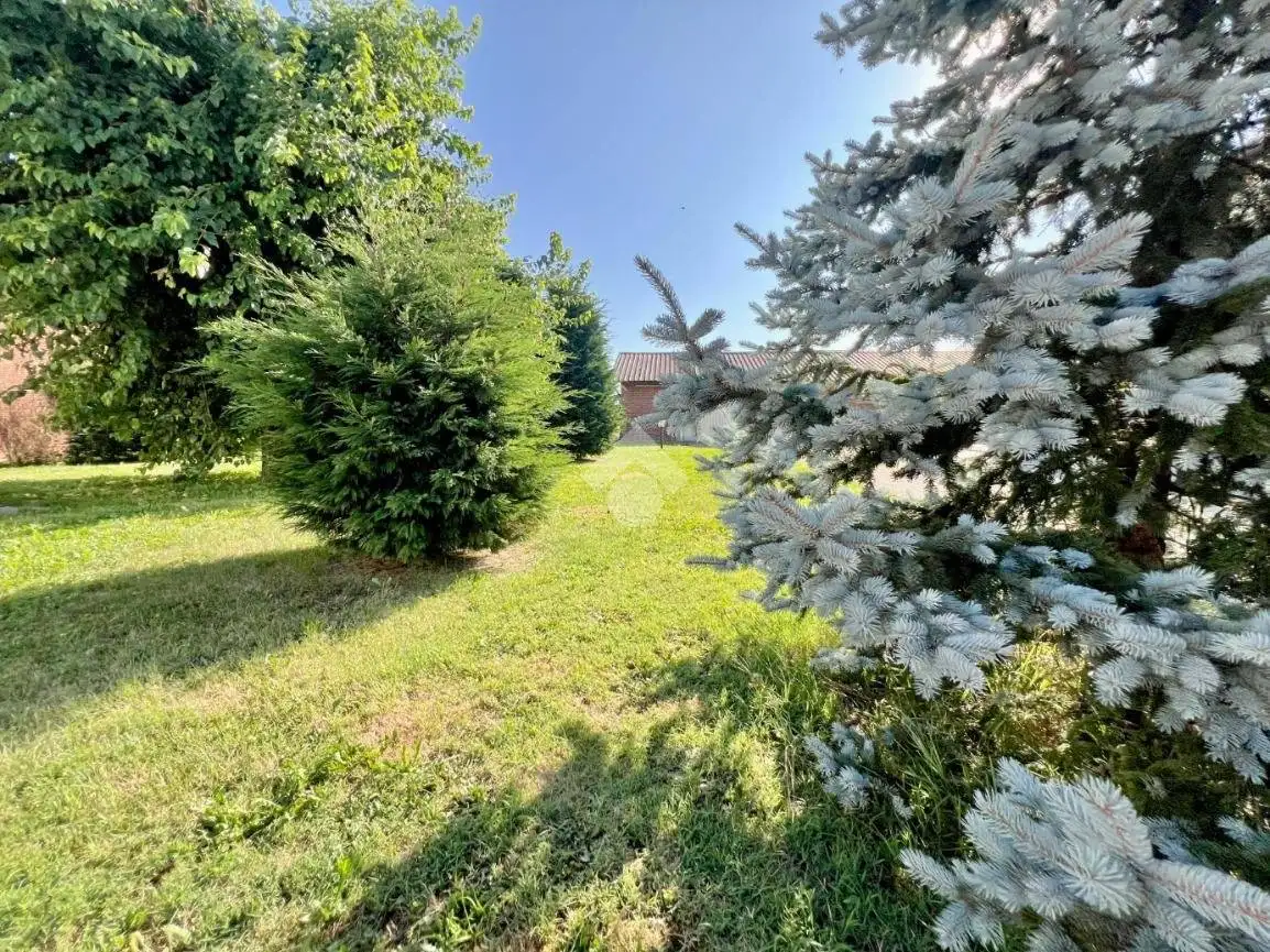 Rustico via Villanova 52, Crivelle, Buttigliera d'Asti - foto 4