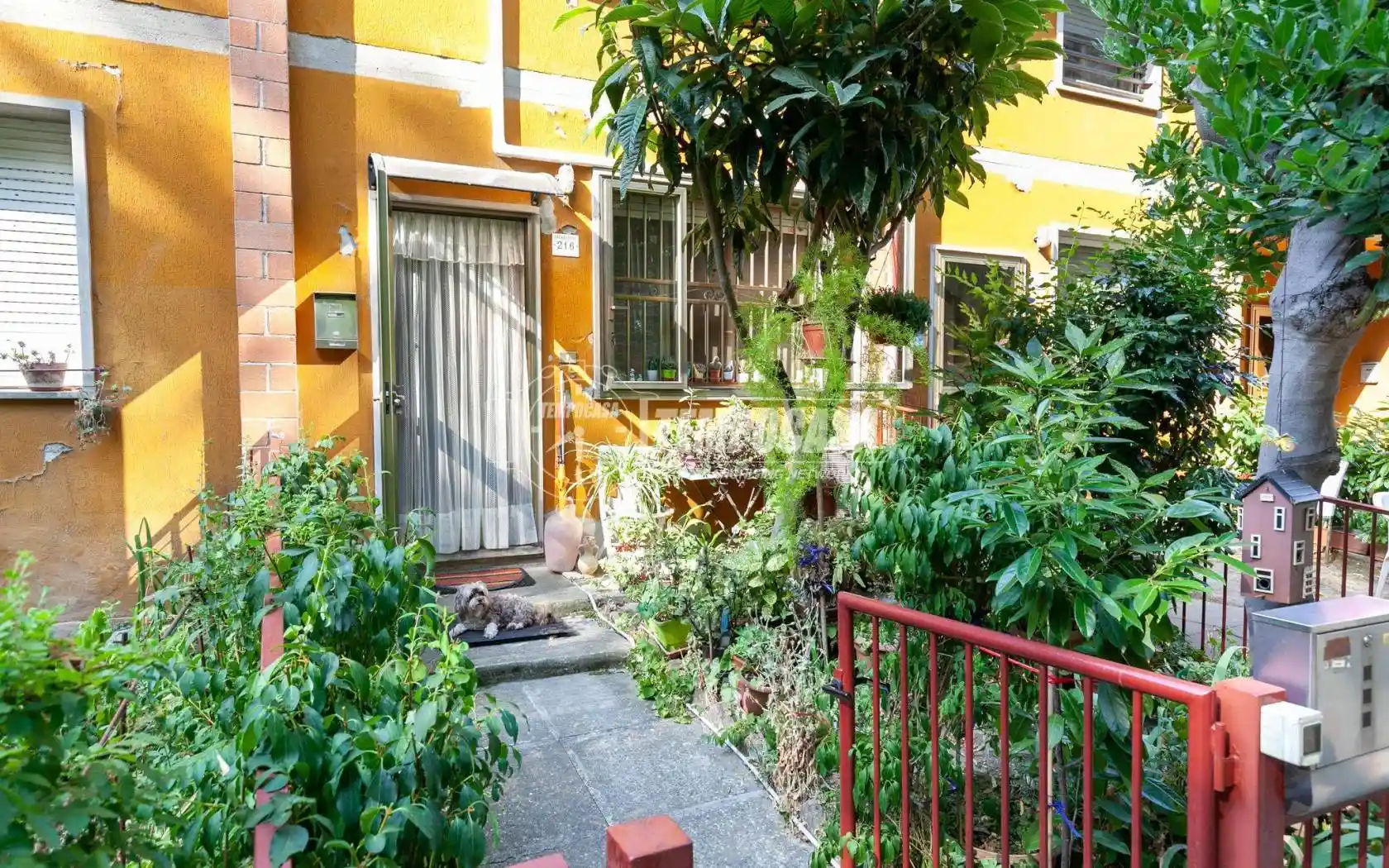 Casa indipendente - foto 3