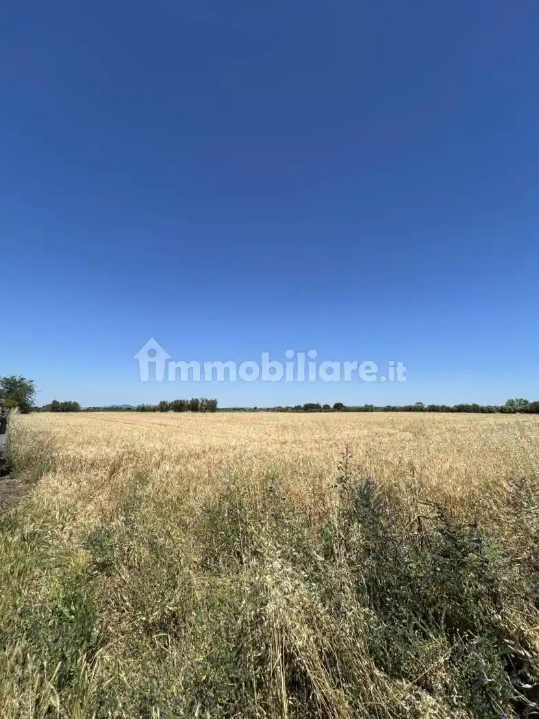 Rustico - Casale in vendita a Tuscania