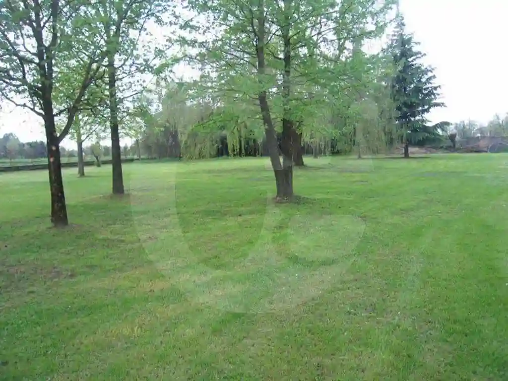 Palazzo - Edificio - foto 5