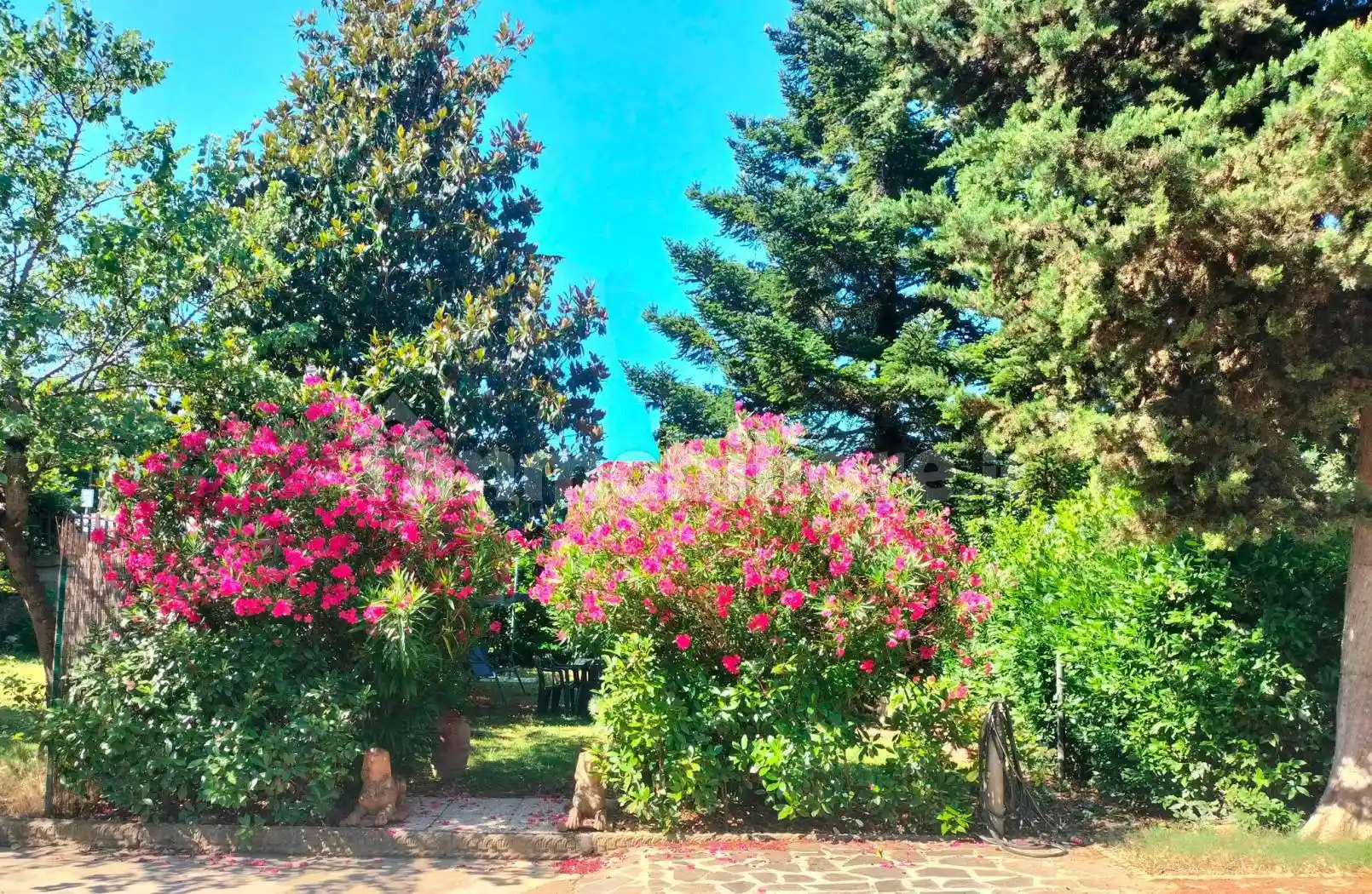 Appartamento in vendita a Lastra a Signa