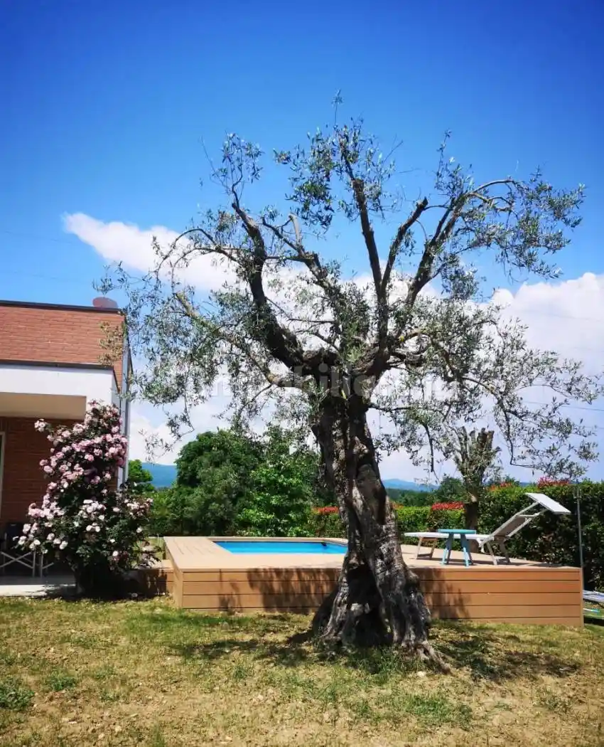 Villa unifamiliare, ottimo stato, 335 m², Via Fiorentina, Arezzo - foto 4