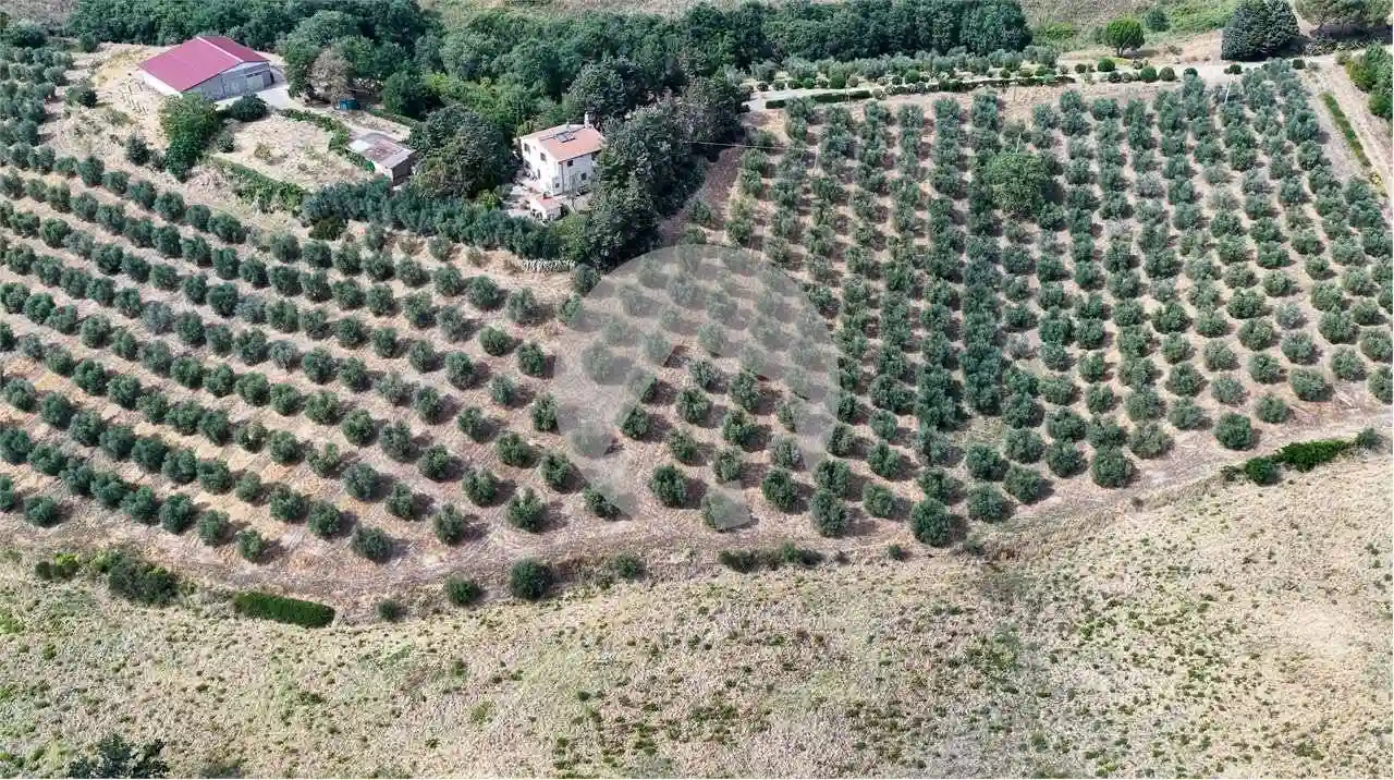 Rustico - Casale - foto 2