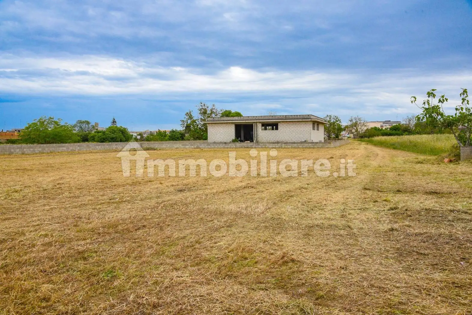 Rustico - Casale in vendita a Carpignano Salentino