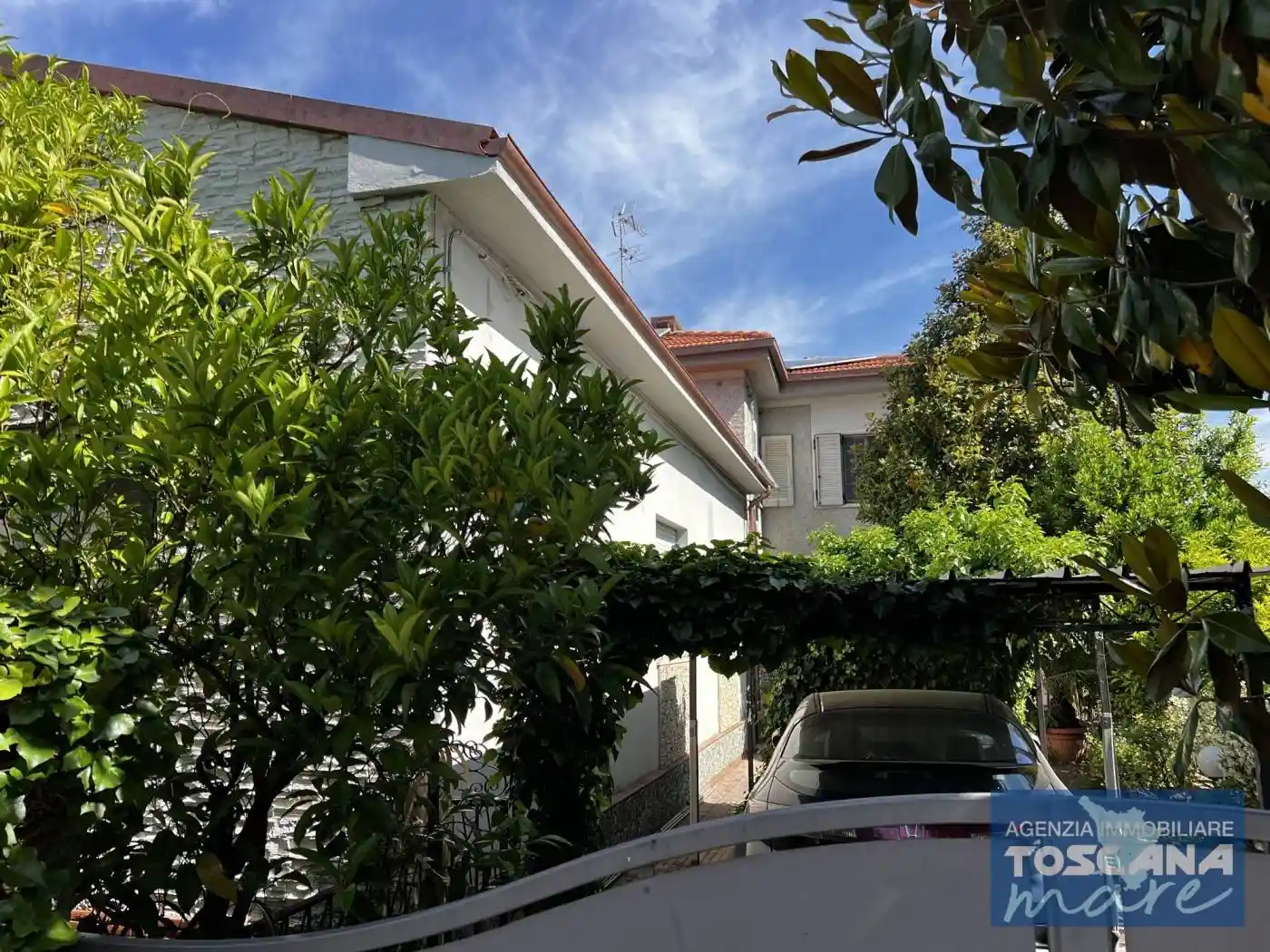 Palazzo - Edificio in vendita a Castagneto Carducci