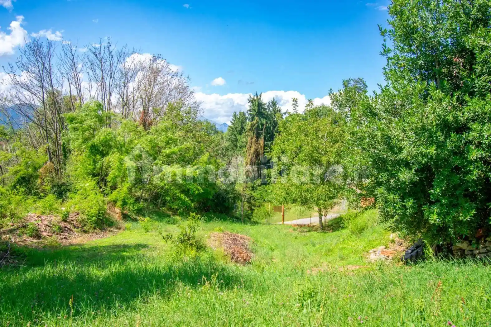 Terratetto unifamiliare via Roma 19, Centro, Lessona - foto 5