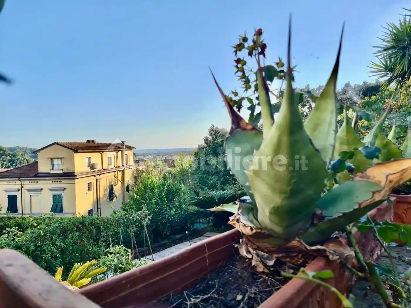 Appartamento in vendita a Carrara