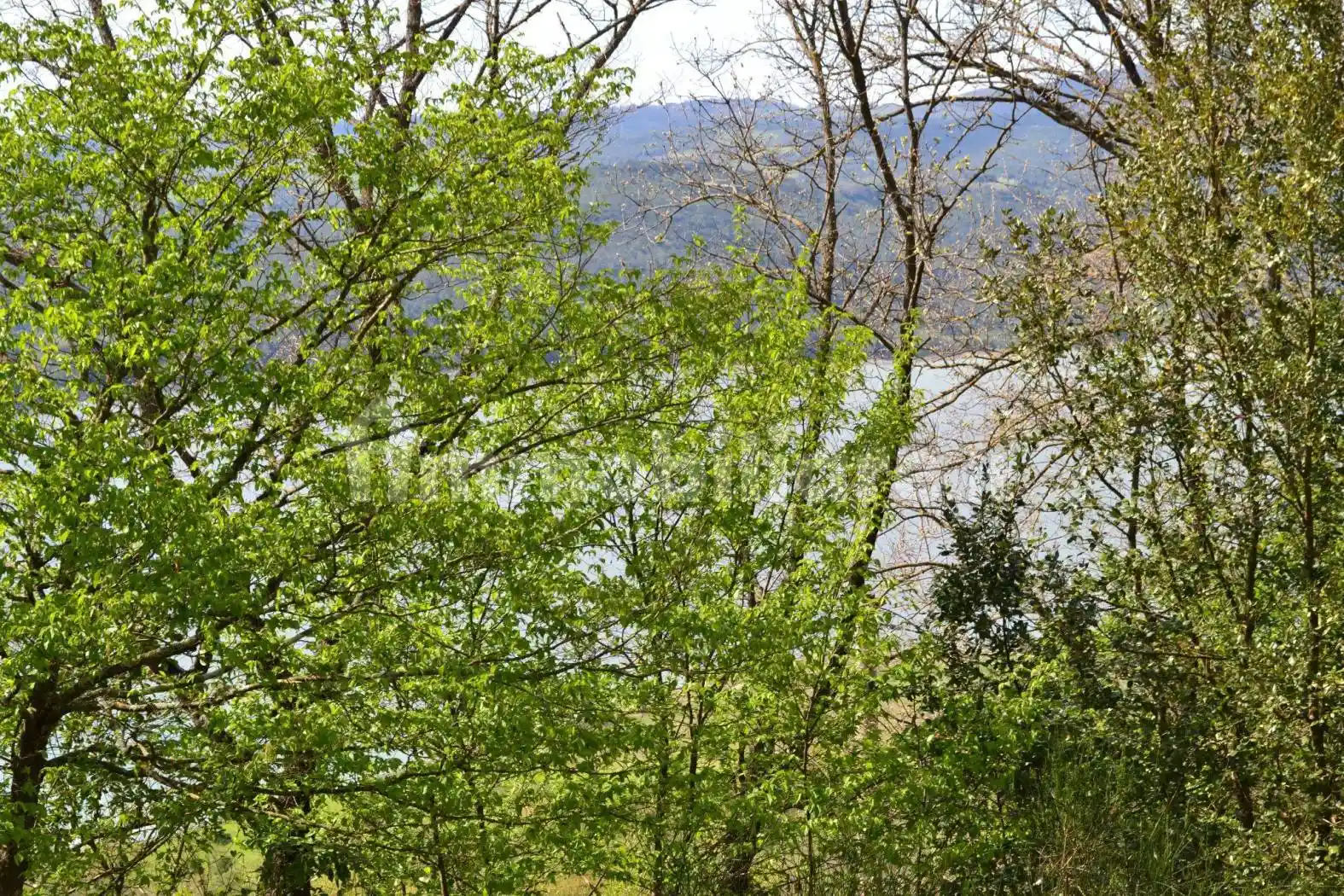 Villa in vendita a Baschi