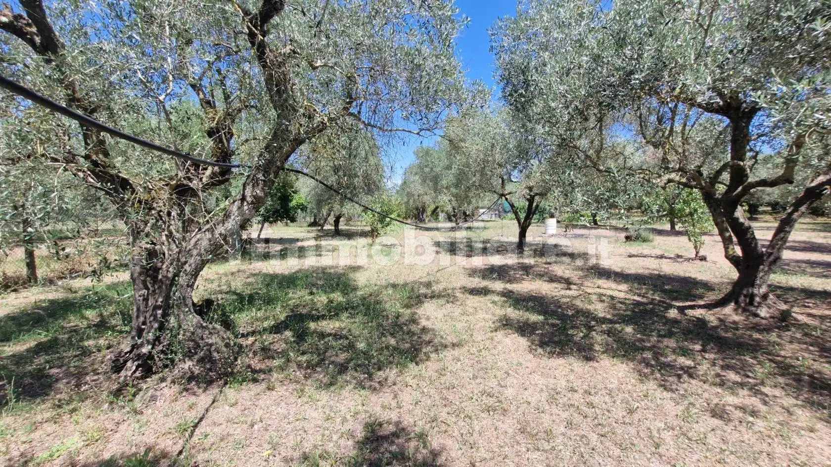 Rustico Sp28, Corchiano - foto 4