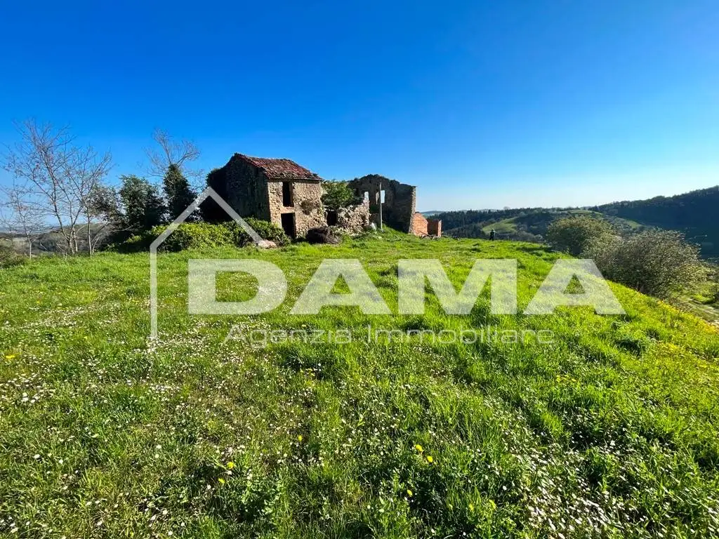 Casa indipendente in vendita a Predappio