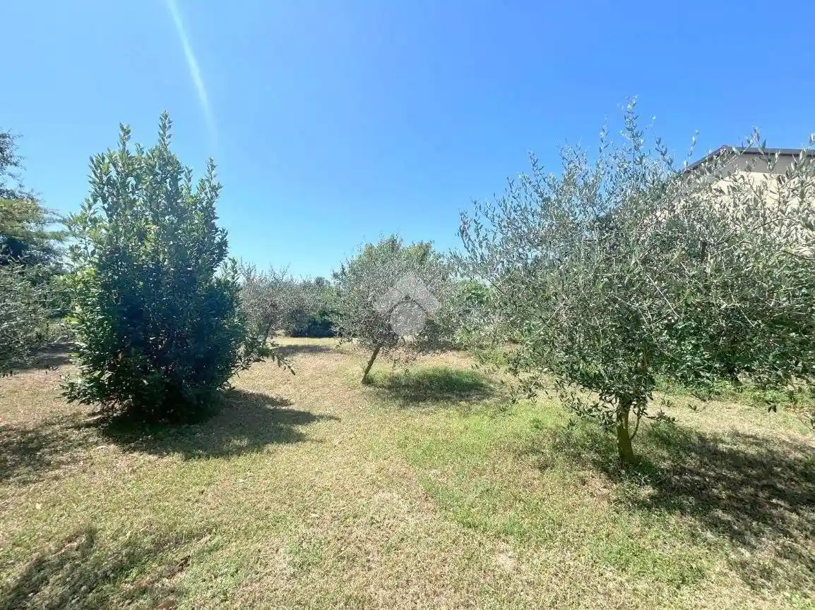 Terratetto plurifamiliare frazione Poggio Gerba 6, Castello di Annone - foto 4