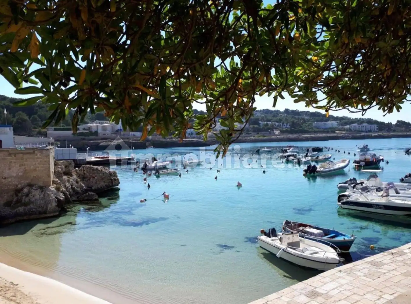 Appartamento in affitto a Nardò