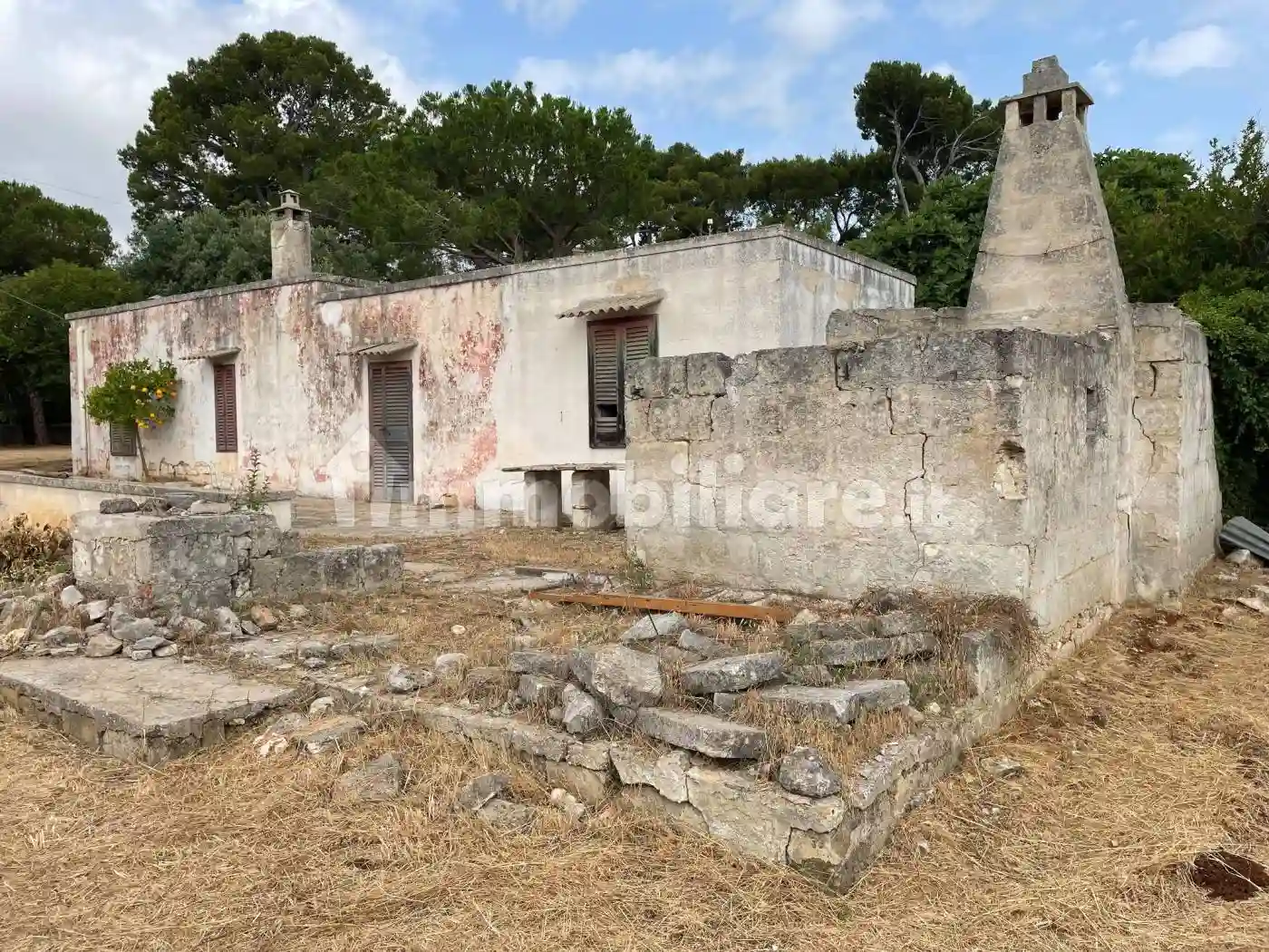 Rustico - Casale - foto 3