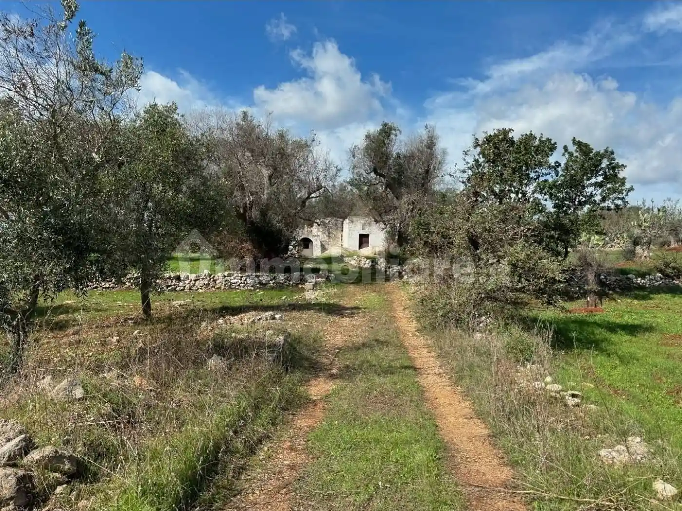 Rustico - Casale in vendita a Carovigno