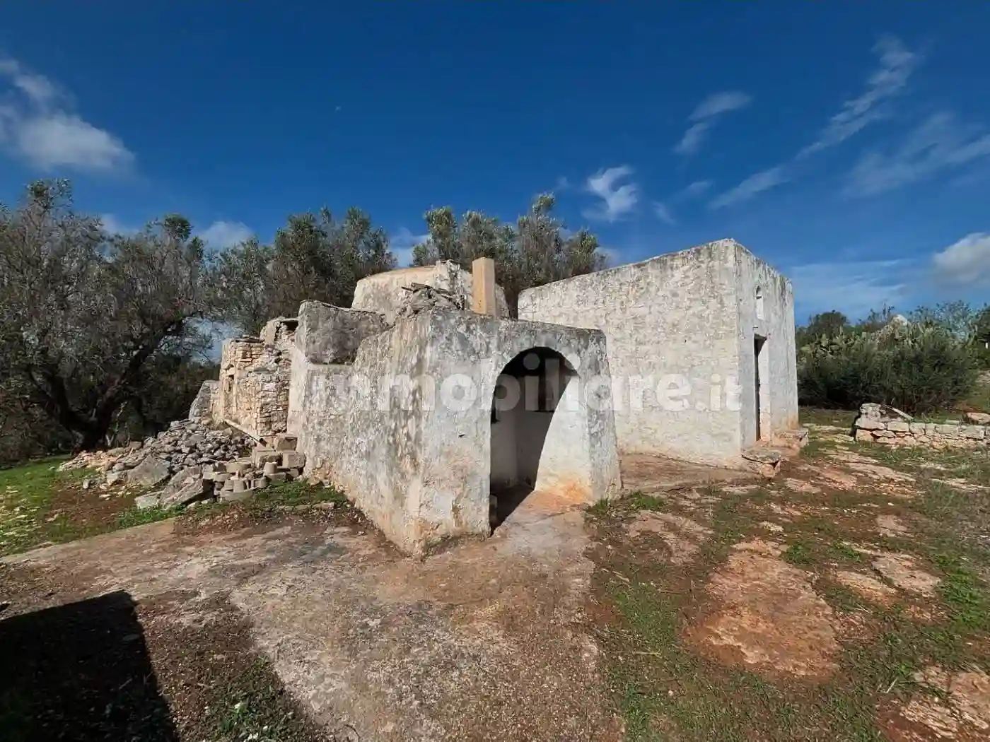 Rustico - Casale - foto 5