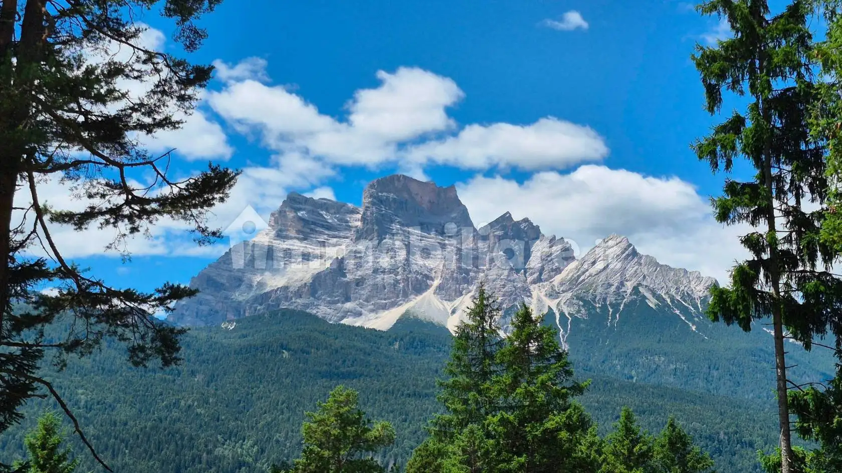Villa in vendita a Borca di Cadore