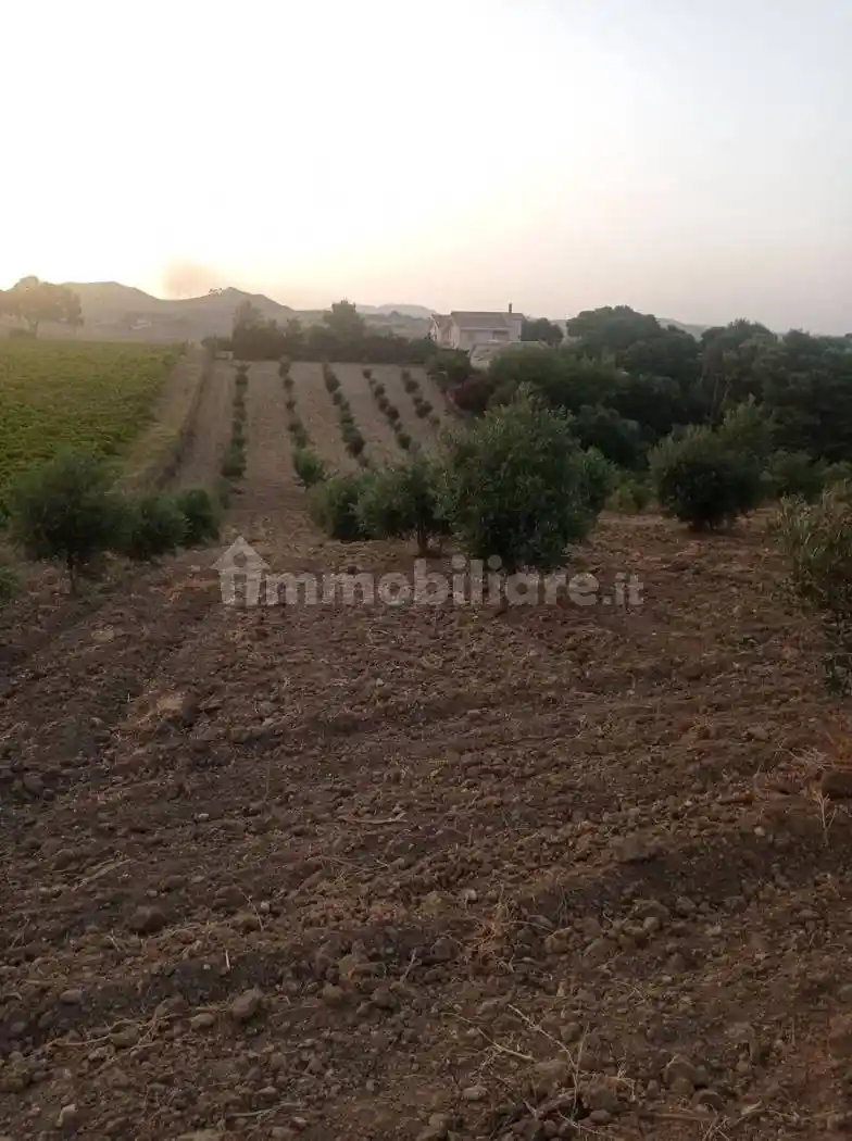 Villa unifamiliare viale Eracle, Cattolica Eraclea - foto 5