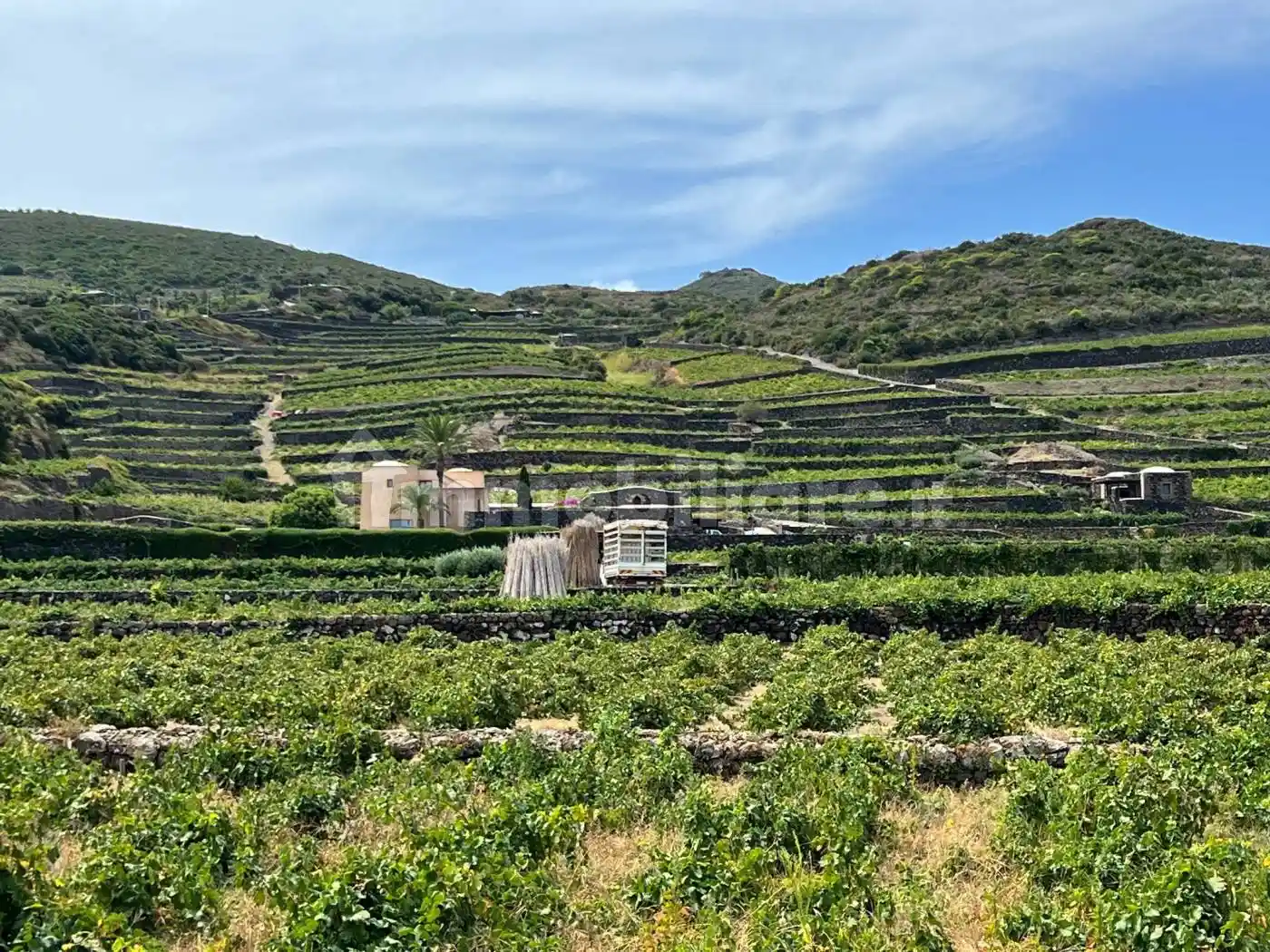 Rustico - Casale in vendita a Pantelleria