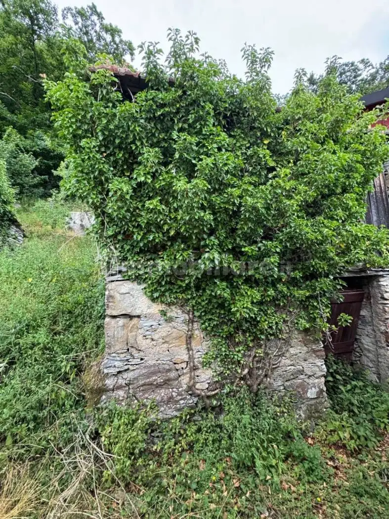 Terratetto unifamiliare via Pie' di Rosso, Davagna - foto 5