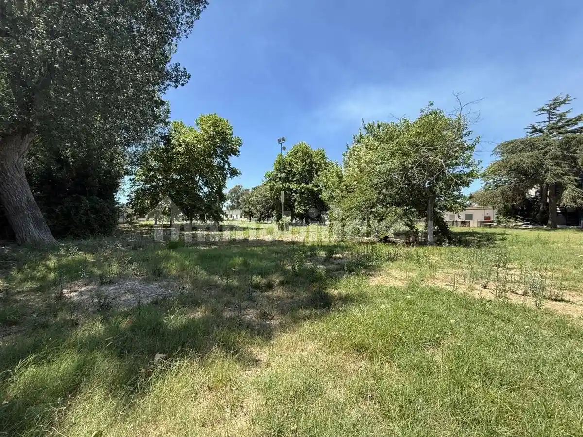 Terratetto unifamiliare via Teleclide, Casal Palocco, Roma - foto 5