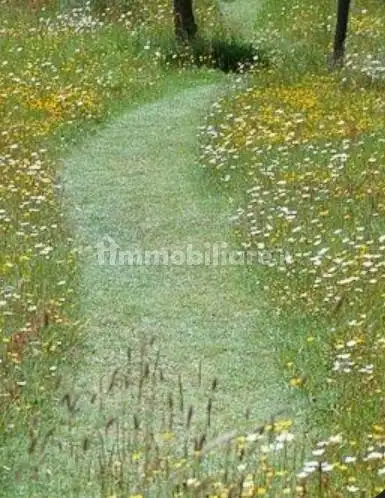 Terratetto plurifamiliare via Genova 189, Ceparana Carpena, Bolano - foto 3