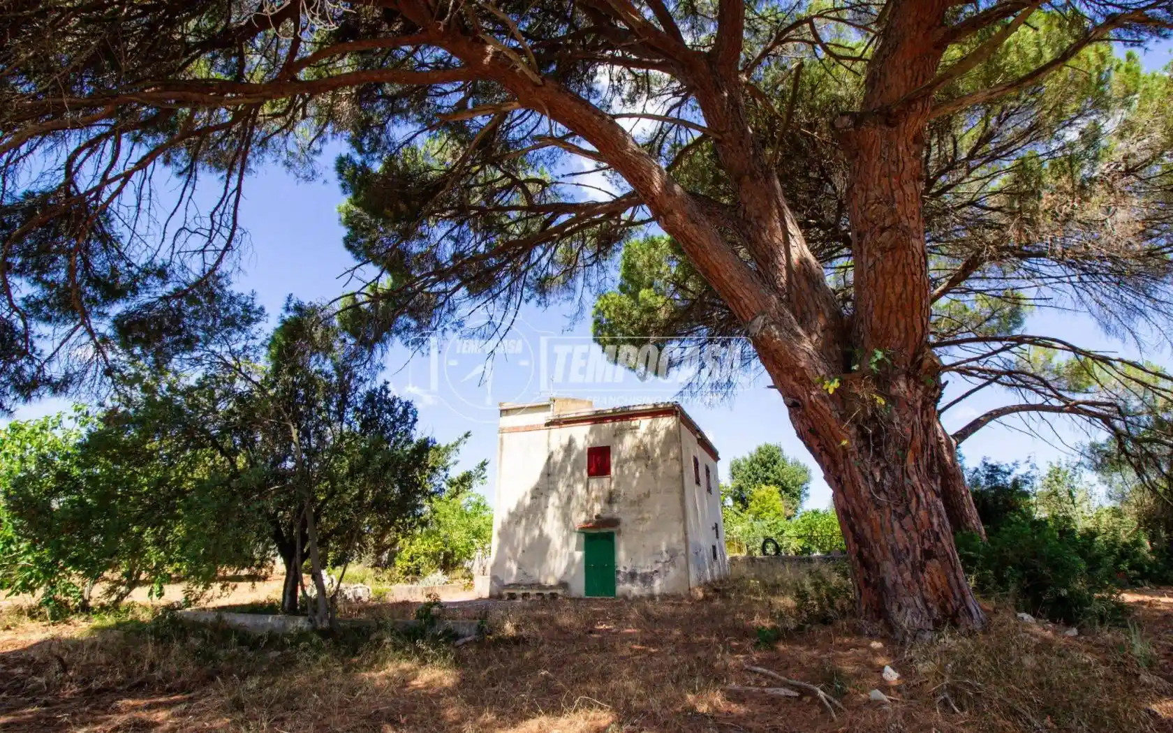 Casa colonica Strada Vicinale Monti di Jesgia, Caniga, Sassari - foto 3