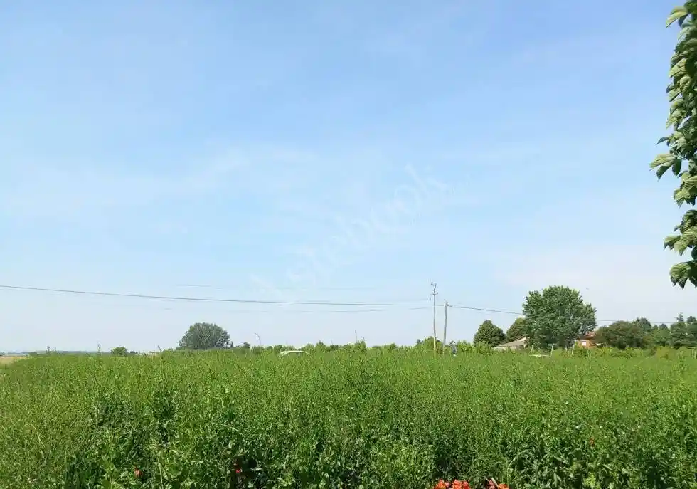 Palazzo - Stabile - foto 3