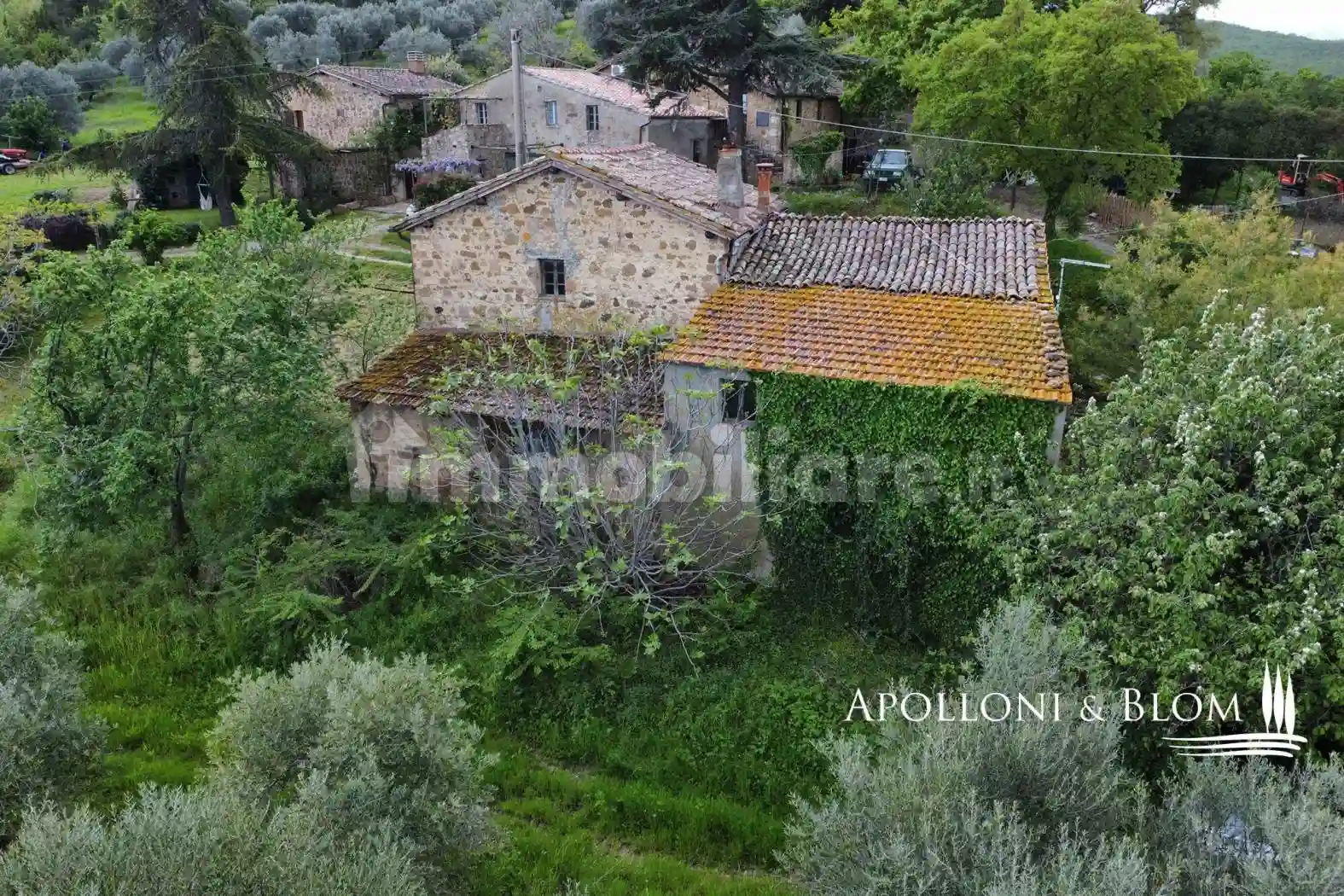 Rustico - Casale - foto 4