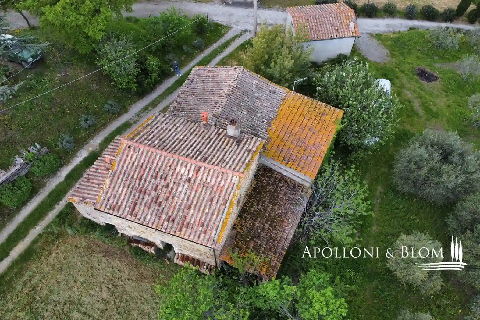 Rustico - Casale - foto 5