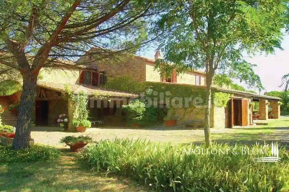 Rustico - Casale - foto 4