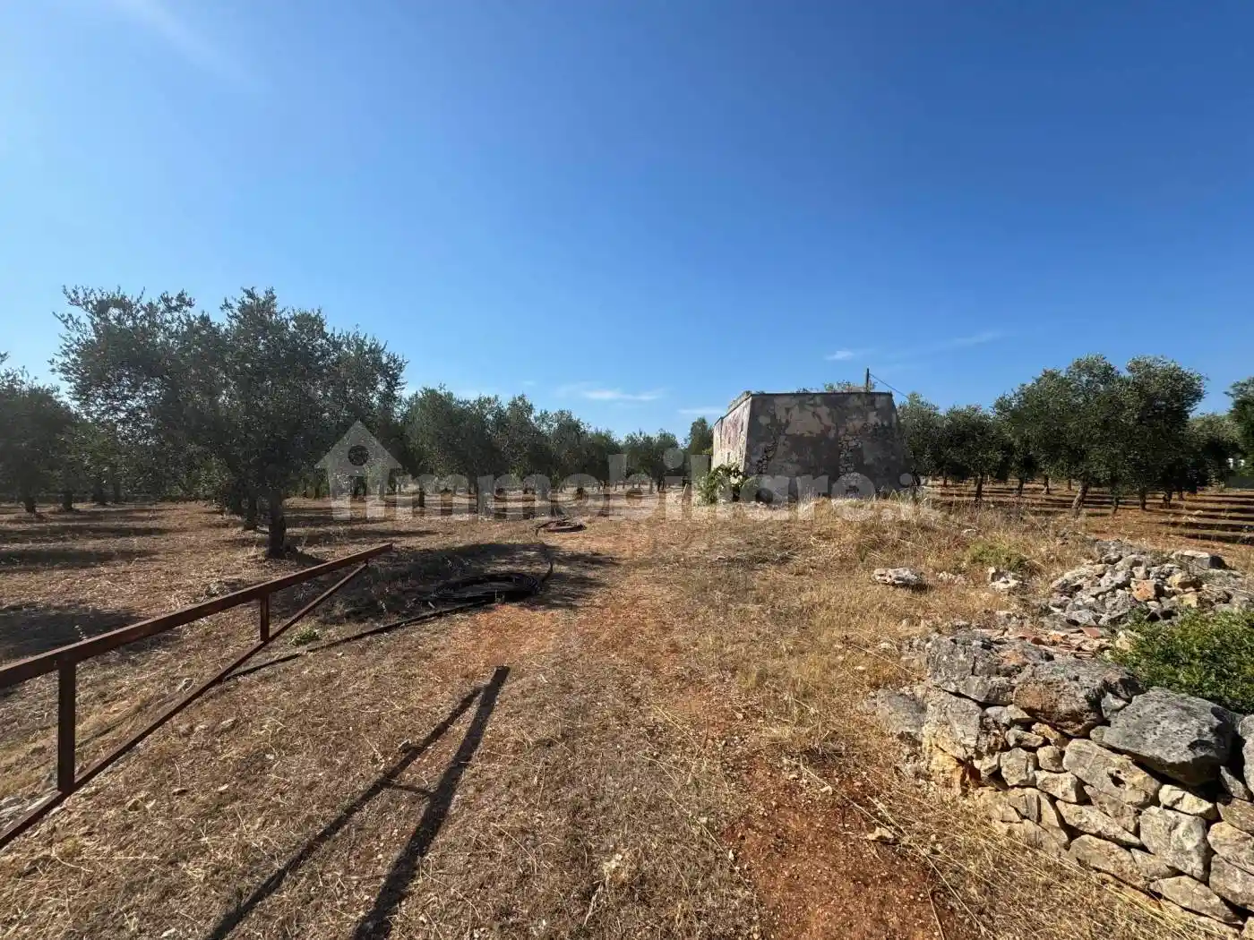 Villa unifamiliare Contrada Grottone, Tamburroni, Grottone, Rosara, Ostuni - foto 3