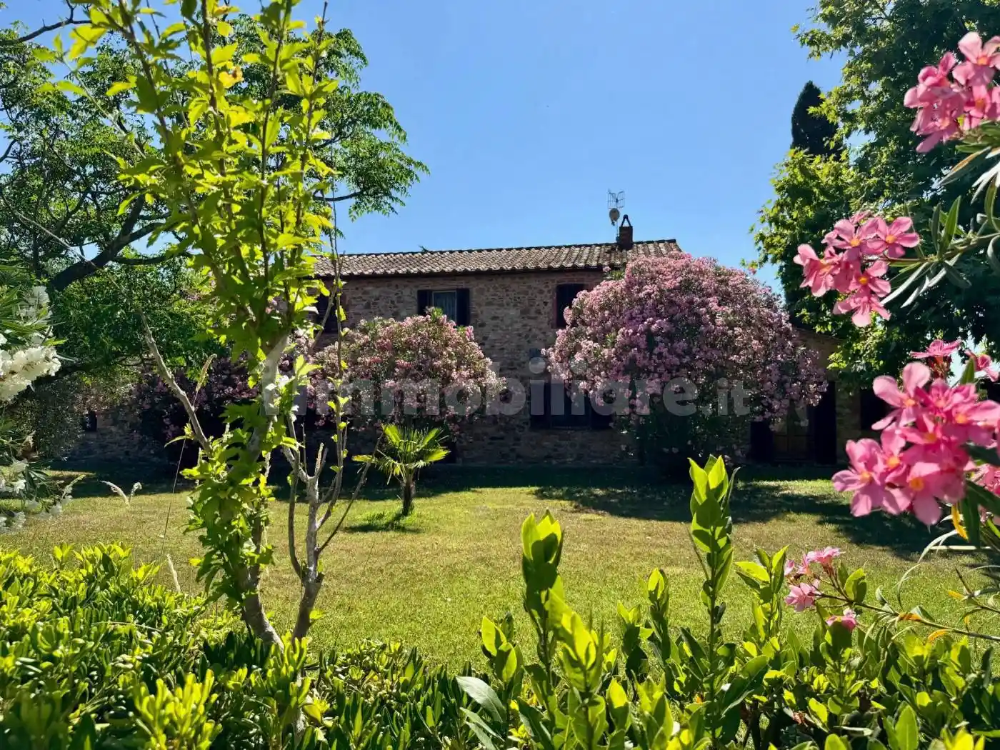Rustico - Casale in vendita a Gavorrano