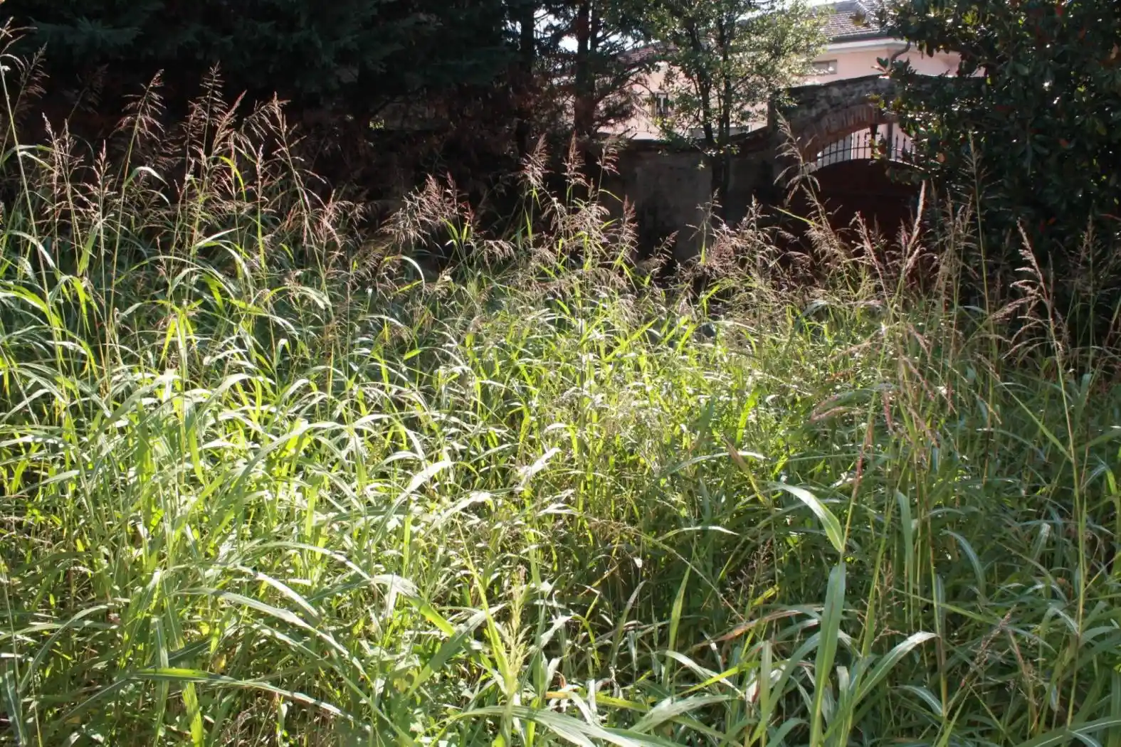 Cascina, ottimo stato, 464 m², Longuelo, Bergamo - foto 5