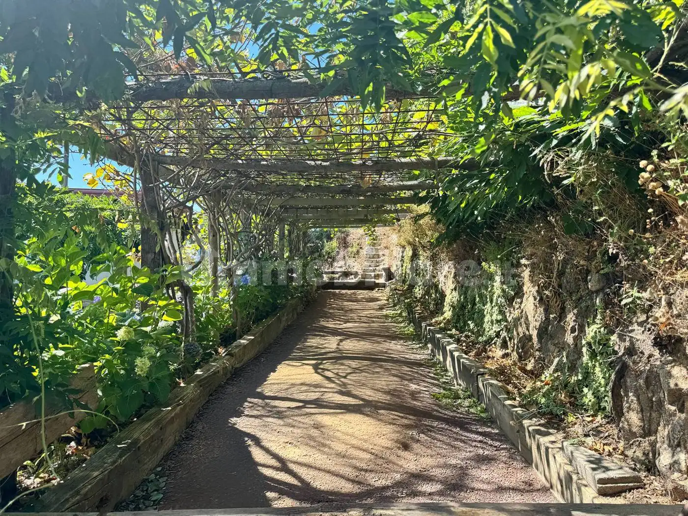 Casa colonica via Provinciale, Badolato - foto 3