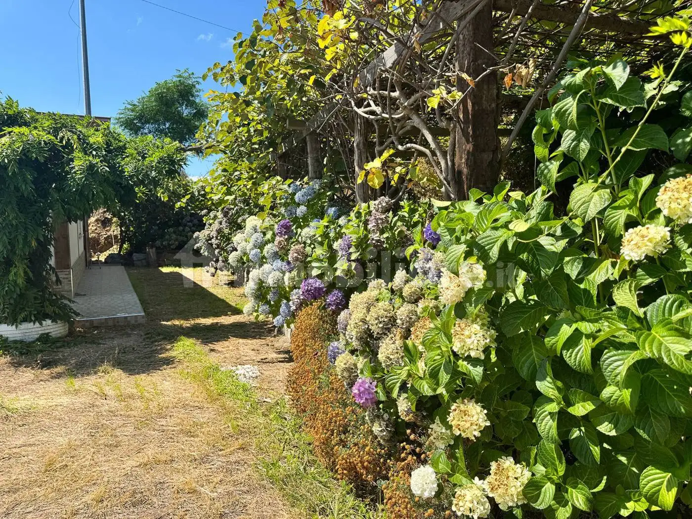 Casa colonica via Provinciale, Badolato - foto 4