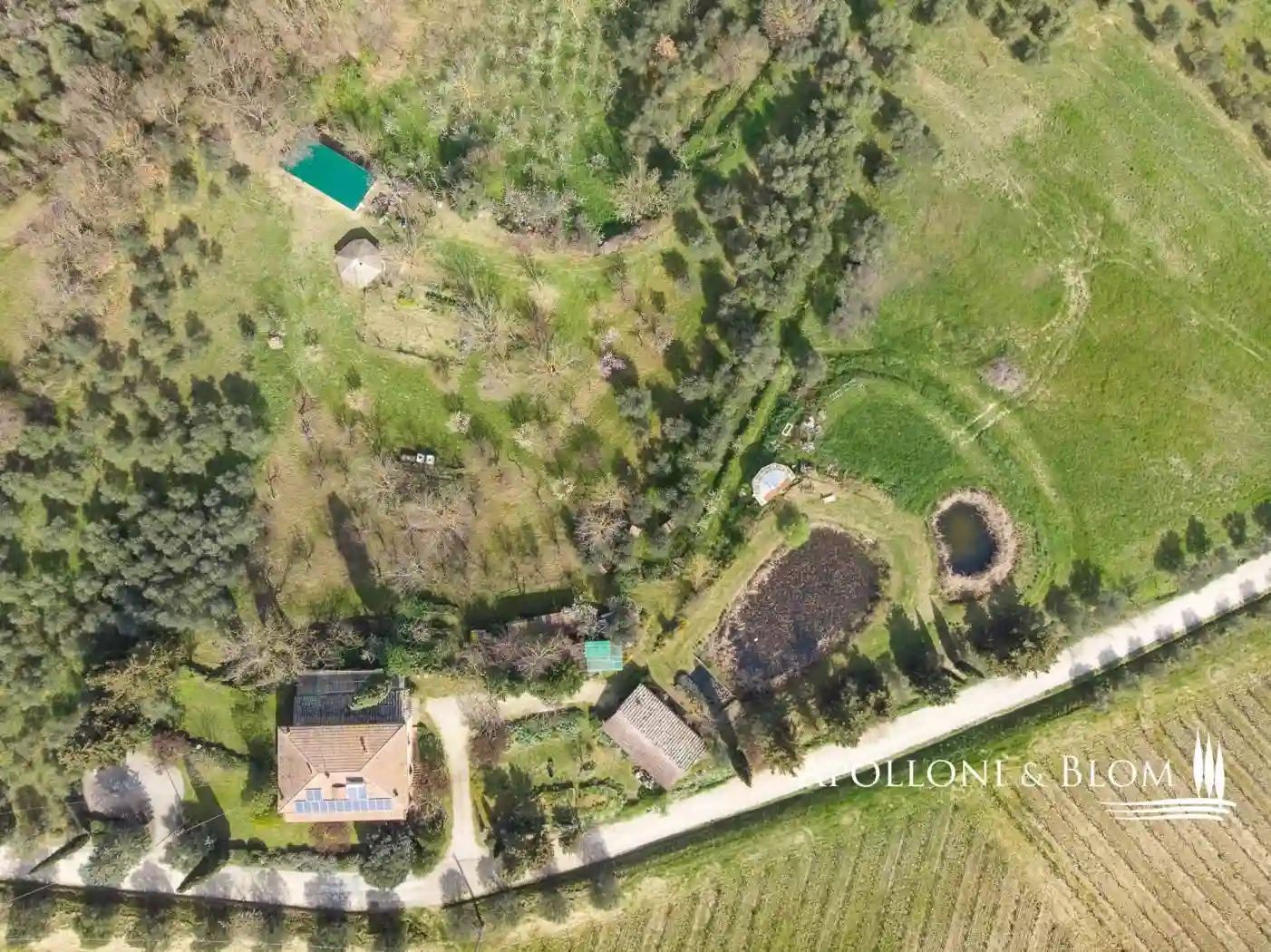 Rustico - Casale - foto 4