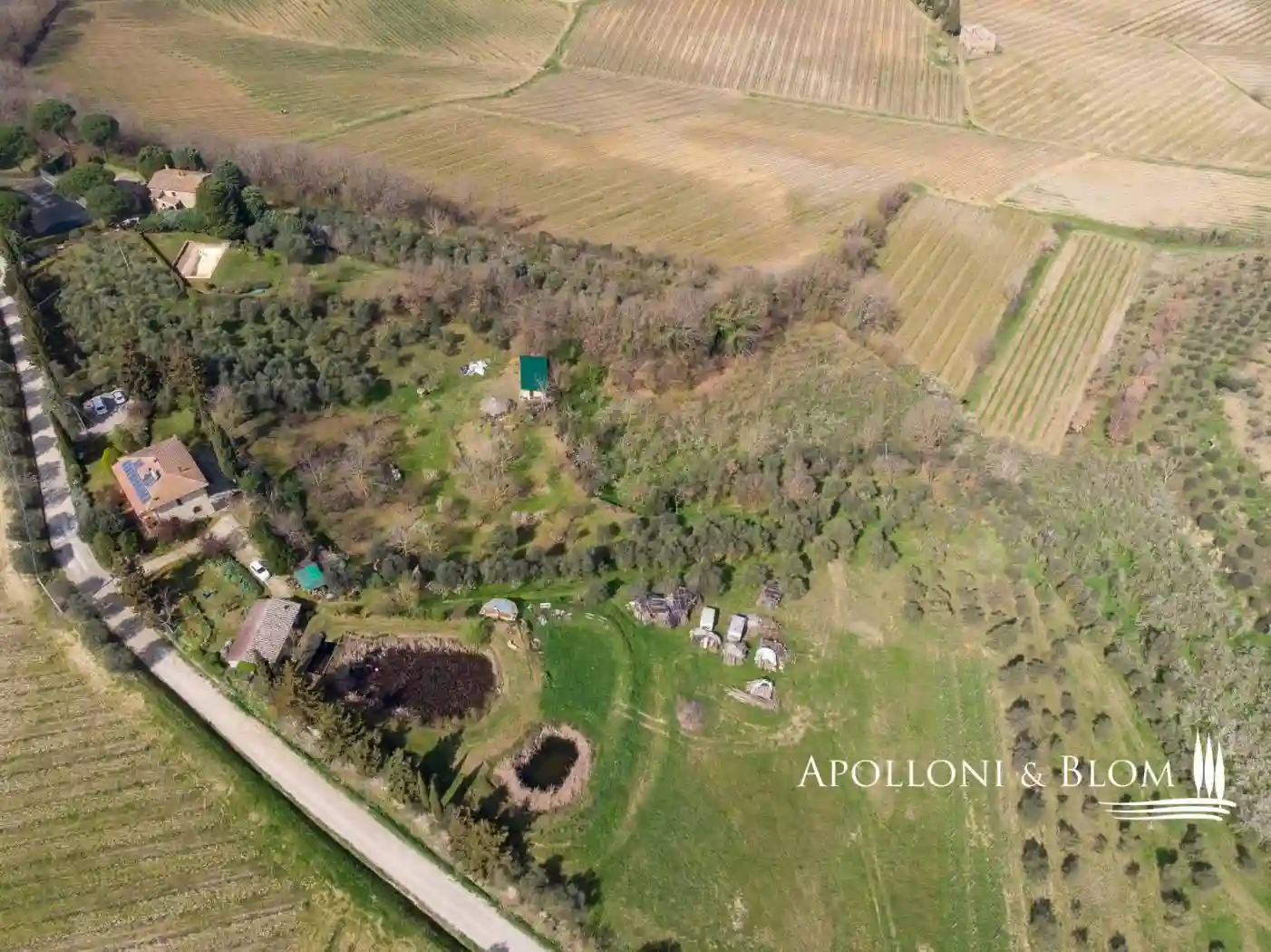 Rustico - Casale - foto 5