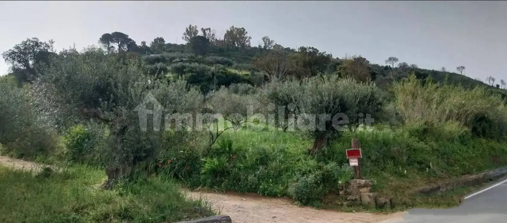 Villa unifamiliare Strada Statale 113 Settentrionale Sicula, Calatafimi, Calatafimi-Segesta - foto 5