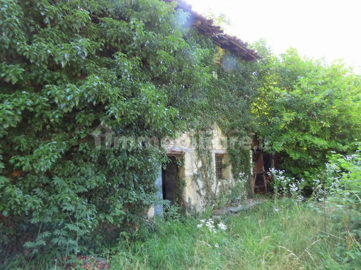 Palazzo - Stabile in asta a Carenno