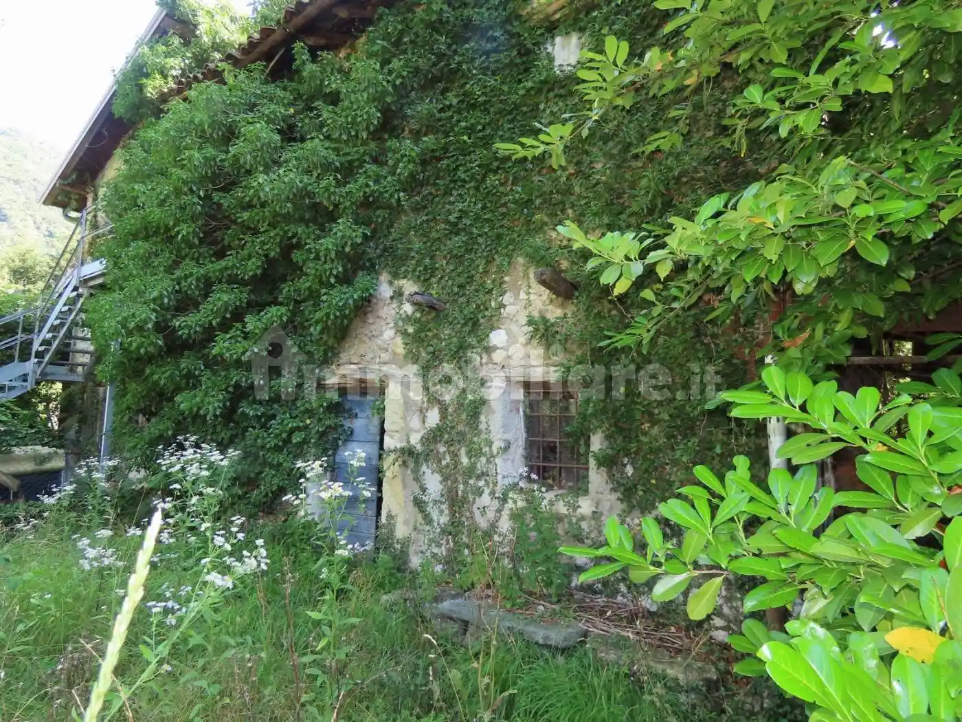 Palazzo - Stabile - foto 4