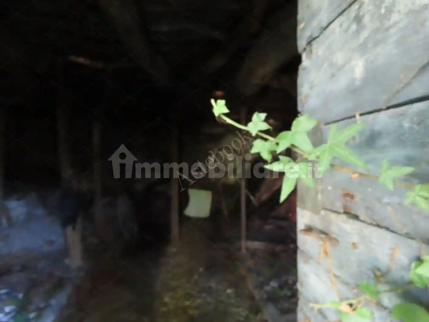 Palazzo - Stabile - foto 5