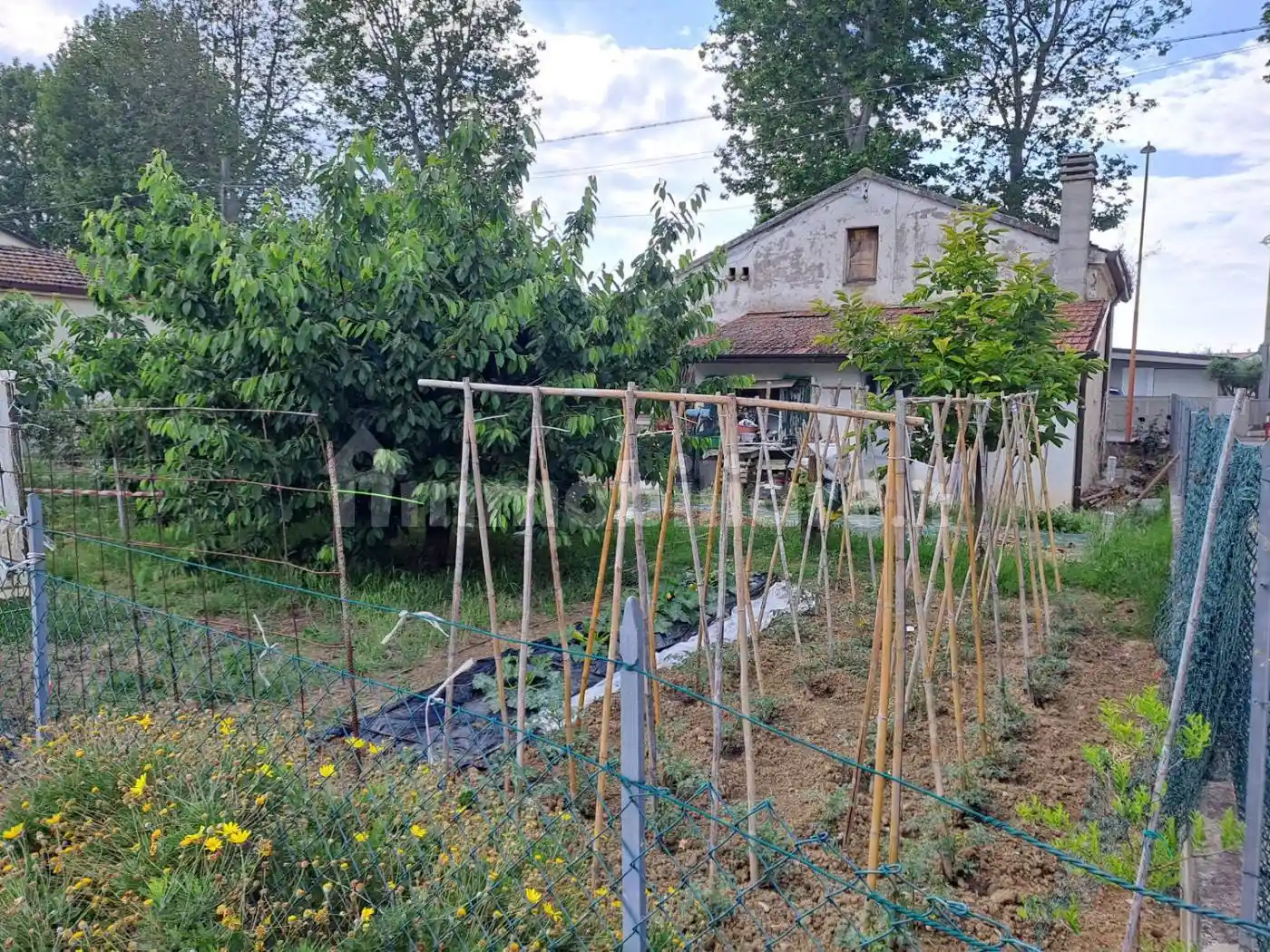 Terratetto unifamiliare via Cervese 7396, San Giorgio - Pioppa, Cesena - foto 4