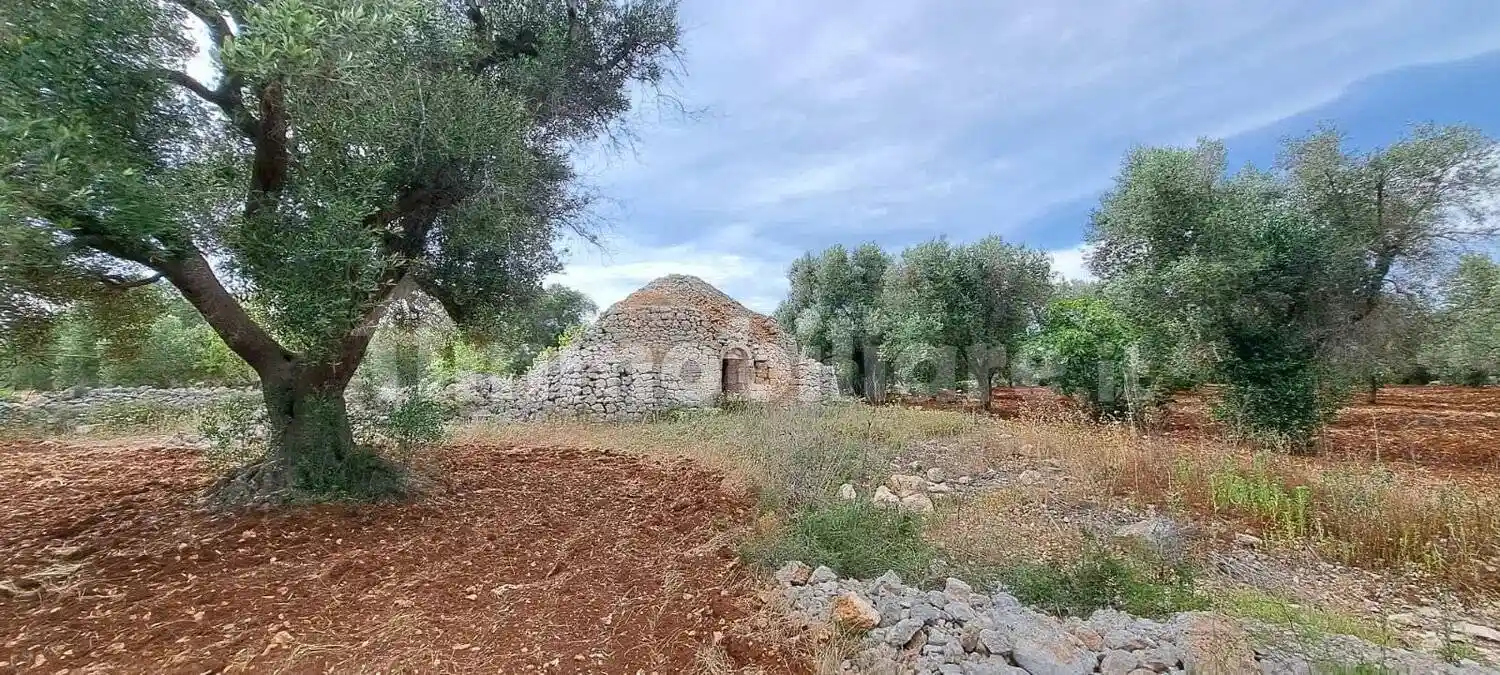 Rustico - Casale in vendita a San Vito dei Normanni