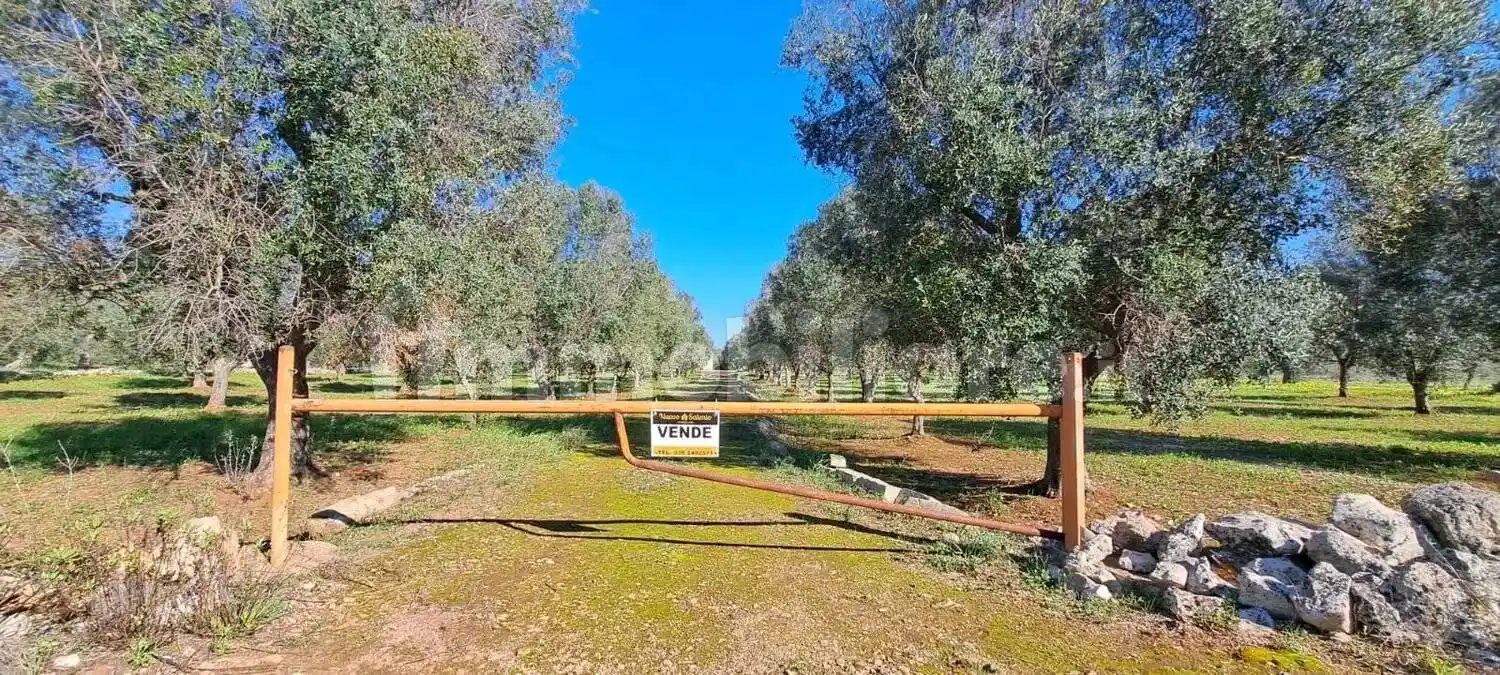 Rustico - Casale in vendita a Carovigno