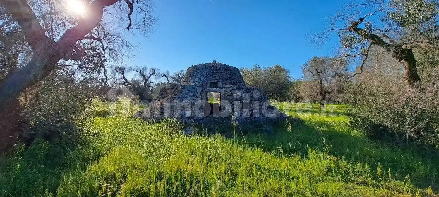 Rustico - Casale in vendita a Carovigno