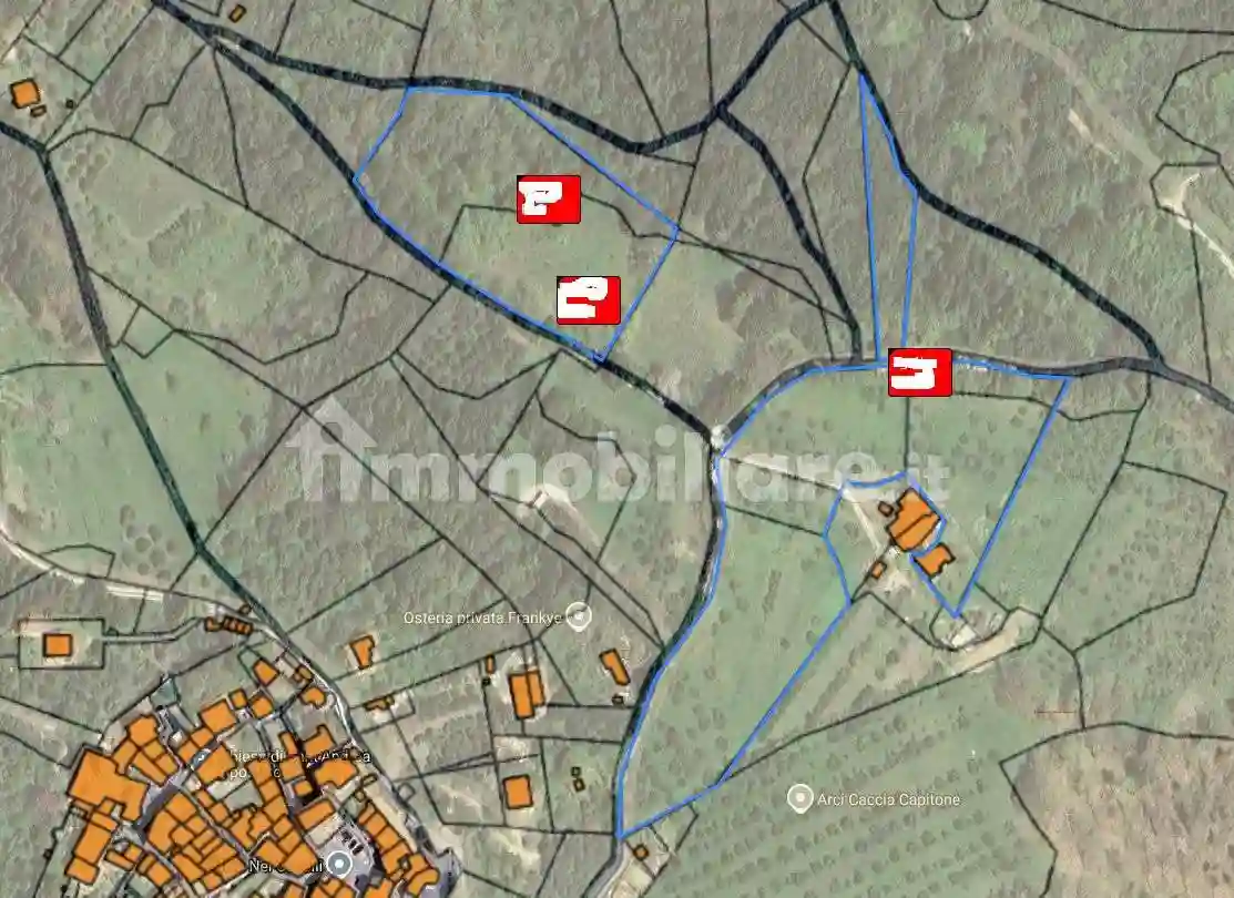 Rustico - Casale - foto 3