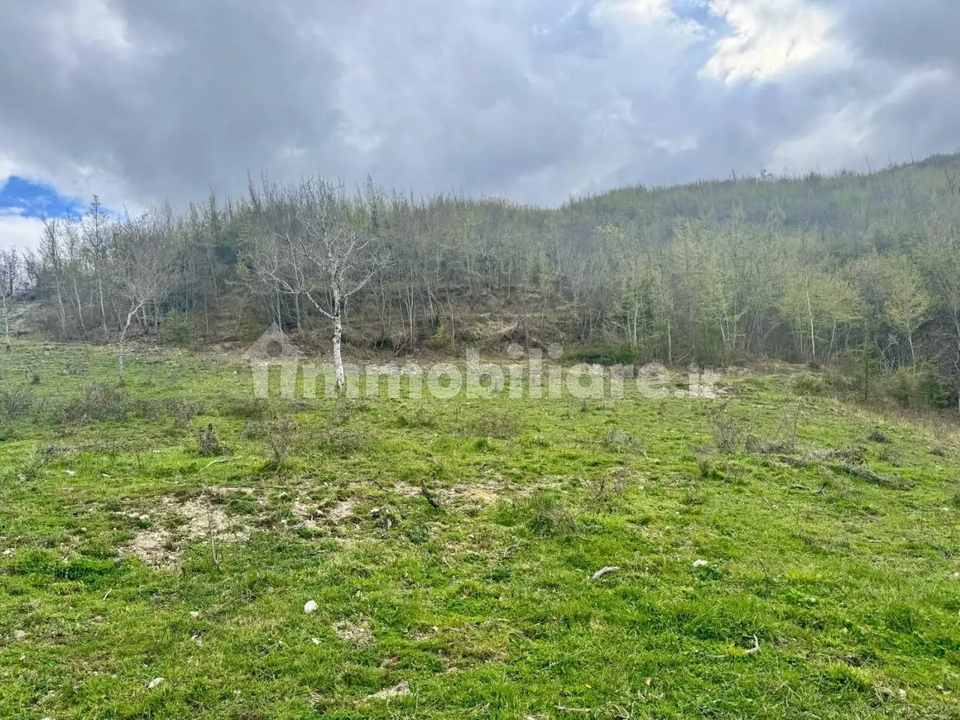 Rustico Località Castel di Tora Bivio, Castel di Tora - foto 3